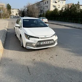 Toyota Corolla 2021