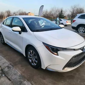 Toyota Corolla 2020