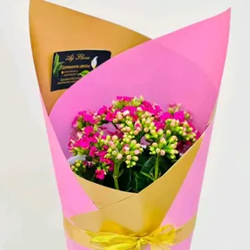 Sowgatlyk otag gulleri