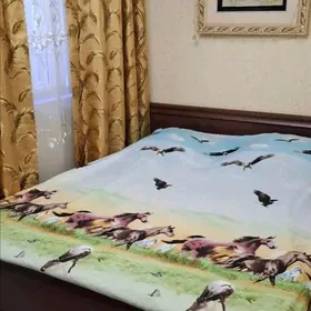 Аренда! Свобода 1 коме.