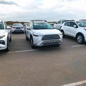 Toyota Corolla Cross 2022