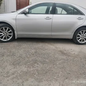 17 diska okuz kel xle