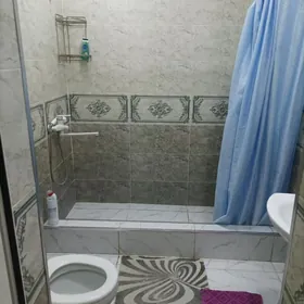 Swaboda koce howly jay