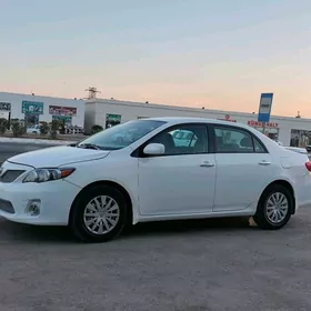 Toyota Corolla 2011