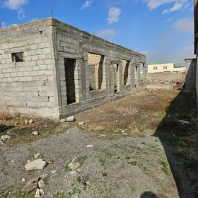 Satlyk Mellek Ýasmansalykda