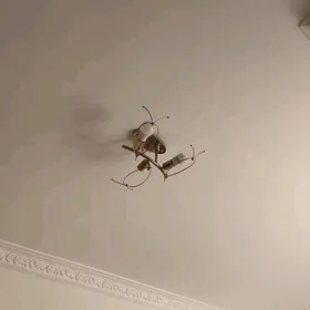 lyustra abat yewropa