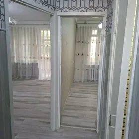 Buzmeyin tomatnyy 4kom