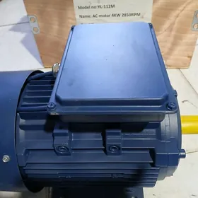 elektro dwigatel 220 w