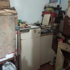 Agaclar dosgalar oy goslary