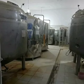 Таййар Пиво завод сатлык