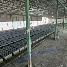 ŞEBEN SEMENT MYTY KERPIÇ ЩЕБЕН