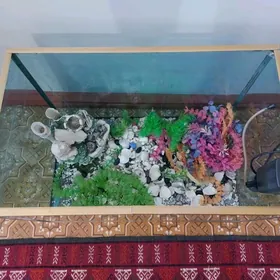 аквариум akwaryum