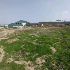 bagyr daşgala mellek yer