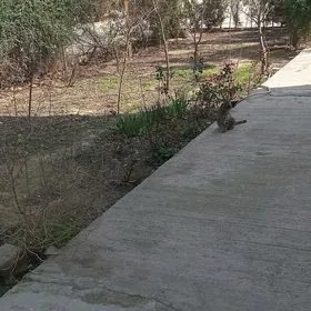 Продаётся квартира