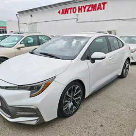 Toyota Corolla 2020