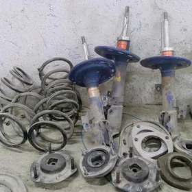 amartizatr purzin lustra