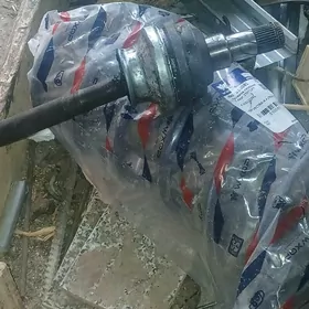 lanosyn̈ içgi granady oky bn