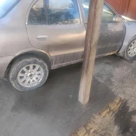 Hyundai accent zapcaslary