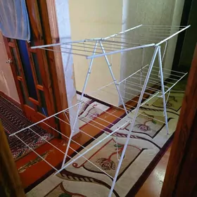 suşilka. Kir asýan.