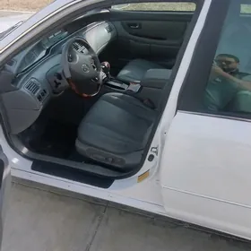 Toyota Avalon 2002