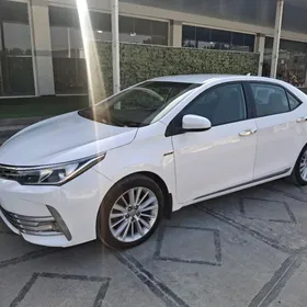 Toyota Corolla 2016
