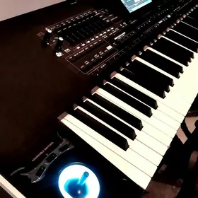 Korg Pa4x profess/arrang