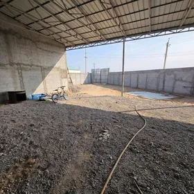 Taze Gami plan 5sot Тазе гами