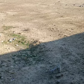 Satlyk daca arcmanda