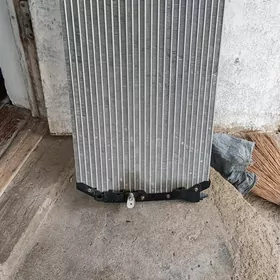 siýenan kansaner ratýatyry