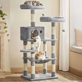 Кошачье дерево