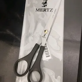 Mertz Gaycy