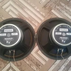 Toý dinamik 12"-lik EV.