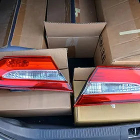 fara camrynki 2018-2020