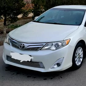 palta farasy komplekt