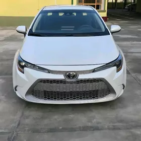 Toyota Corolla 2022