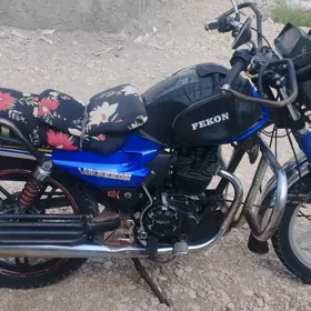 Fekon FK200-14G 2014