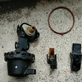 pauk datcikler tiguan