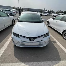 Toyota Corolla 2021