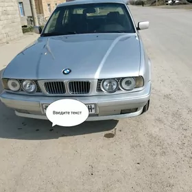 BMW 530 1993