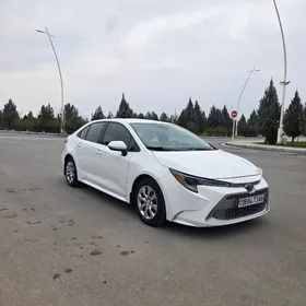 Toyota Corolla 2021