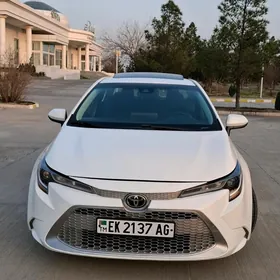 Toyota Corolla 2020