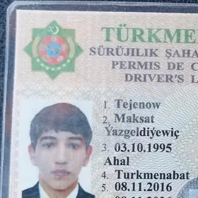 Wayenni biletim yitdi