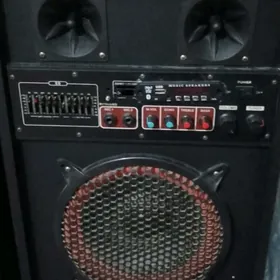 kaloka satlyk arenda