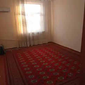 Arenda Buzmeyin gress