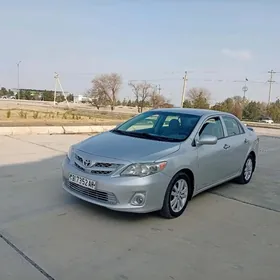 Toyota Corolla 2010