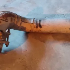 kakma karopgan gulsitiri