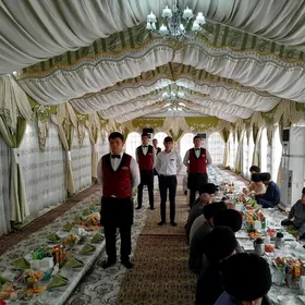 Bagyt Toý Palatga Hyzmatlary