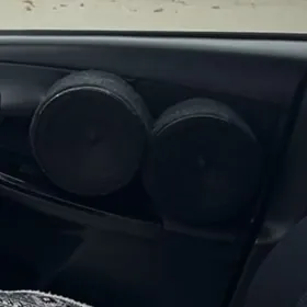 Apokalpse Silwester Pro