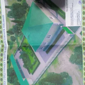 меллек 8 сока