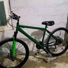 Türkmenistan welik tigir